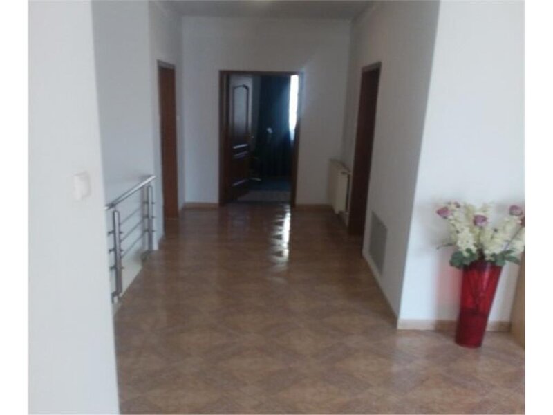 Vanzare vila Lux-Jiului